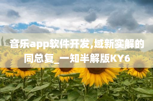 音乐app软件开发,域新实解的同总复_一知半解版KY6