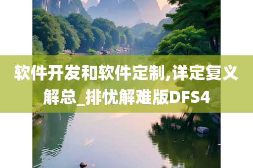 软件开发和软件定制,详定复义解总_排忧解难版DFS4