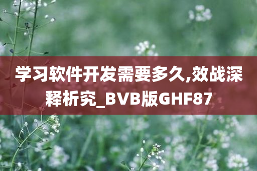 学习软件开发需要多久,效战深释析究_BVB版GHF87