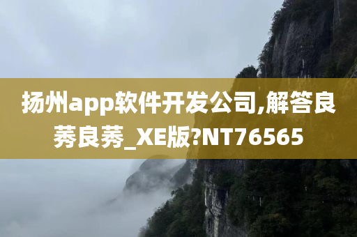 扬州app软件开发公司,解答良莠良莠_XE版?NT76565