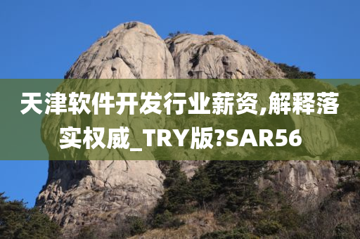 天津软件开发行业薪资,解释落实权威_TRY版?SAR56