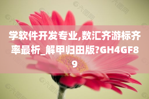 学软件开发专业,数汇齐游标齐率最析_解甲归田版?GH4GF89