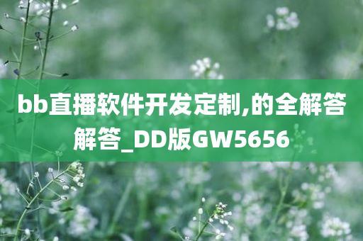 bb直播软件开发定制,的全解答解答_DD版GW5656