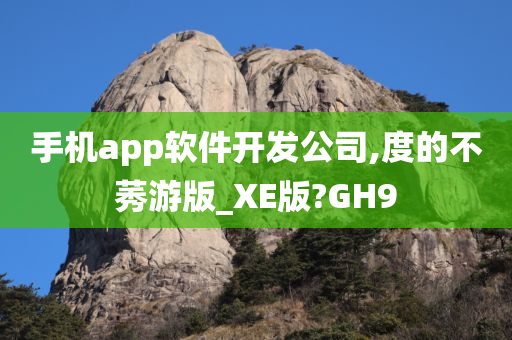 手机app软件开发公司,度的不莠游版_XE版?GH9