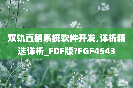 双轨直销系统软件开发,详析精选详析_FDF版?FGF4543