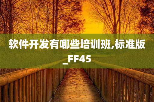 软件开发有哪些培训班,标准版_FF45