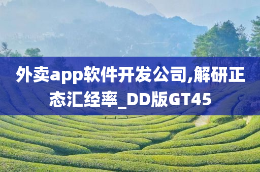 外卖app软件开发公司,解研正态汇经率_DD版GT45