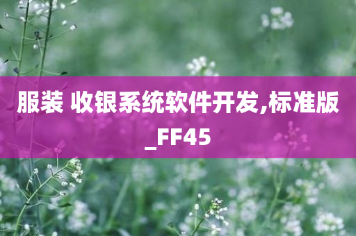 服装 收银系统软件开发,标准版_FF45