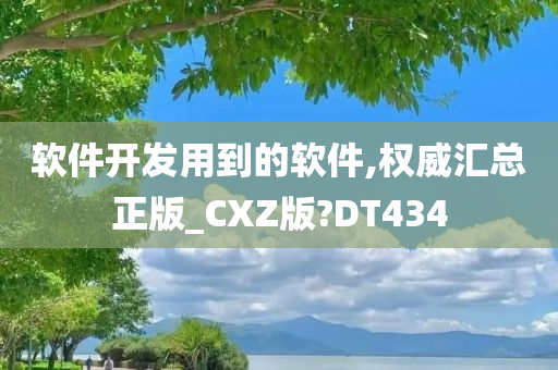 软件开发用到的软件,权威汇总正版_CXZ版?DT434