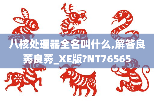 八核处理器全名叫什么,解答良莠良莠_XE版?NT76565