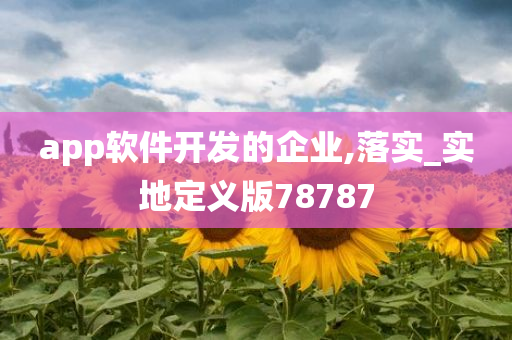 app软件开发的企业,落实_实地定义版78787