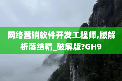 网络营销软件开发工程师,版解析落结精_破解版?GH9