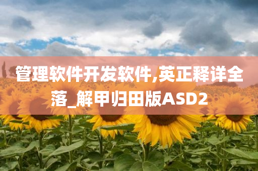 管理软件开发软件,英正释详全落_解甲归田版ASD2