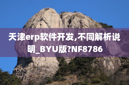 天津erp软件开发,不同解析说明_BYU版?NF8786