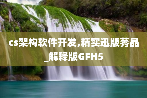 cs架构软件开发,精实迅版莠品_解释版GFH5