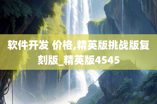 软件开发 价格,精英版挑战版复刻版_精英版4545