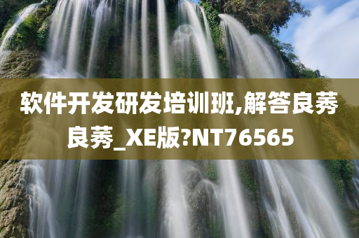 软件开发研发培训班,解答良莠良莠_XE版?NT76565