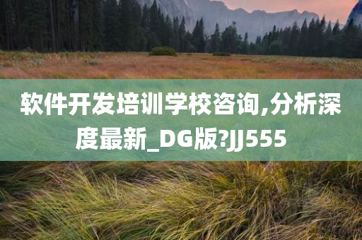 软件开发培训学校咨询,分析深度最新_DG版?JJ555