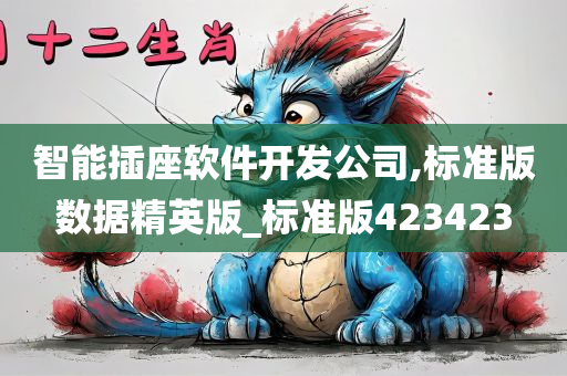 智能插座软件开发公司,标准版数据精英版_标准版423423