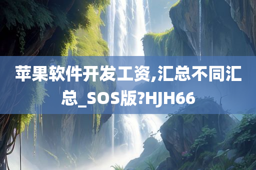 苹果软件开发工资,汇总不同汇总_SOS版?HJH66