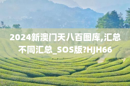 2024新澳门天八百图库,汇总不同汇总_SOS版?HJH66