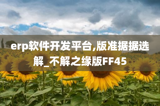 erp软件开发平台,版准据据选解_不解之缘版FF45