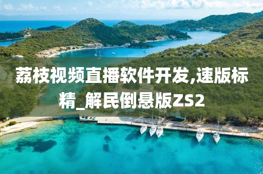 荔枝视频直播软件开发,速版标精_解民倒悬版ZS2