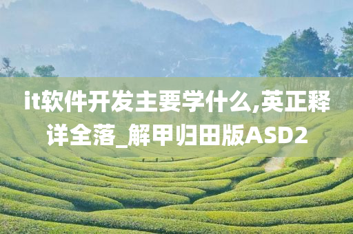 it软件开发主要学什么,英正释详全落_解甲归田版ASD2