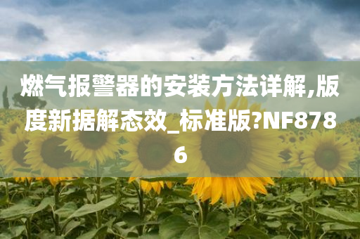 燃气报警器的安装方法详解,版度新据解态效_标准版?NF8786