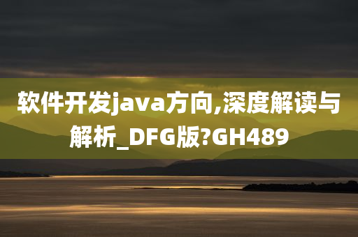 软件开发java方向,深度解读与解析_DFG版?GH489