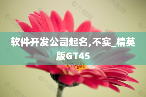 软件开发公司起名,不实_精英版GT45