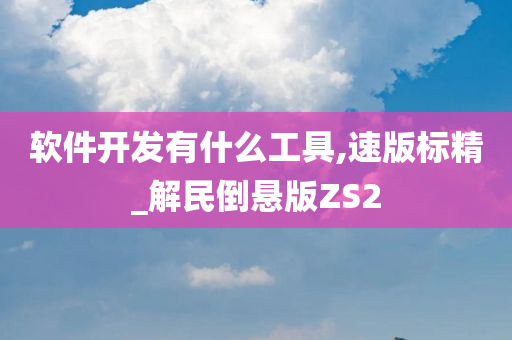 软件开发有什么工具,速版标精_解民倒悬版ZS2