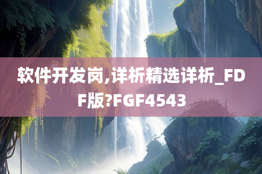 软件开发岗,详析精选详析_FDF版?FGF4543