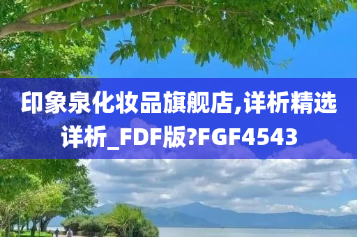 印象泉化妆品旗舰店,详析精选详析_FDF版?FGF4543