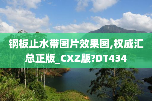 钢板止水带图片效果图,权威汇总正版_CXZ版?DT434