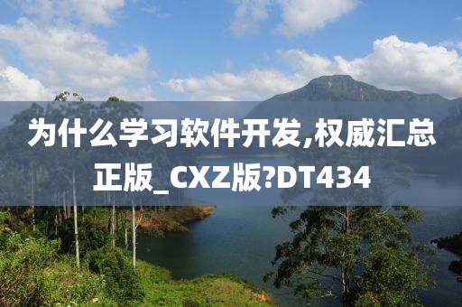 为什么学习软件开发,权威汇总正版_CXZ版?DT434