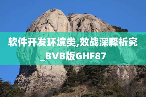 软件开发环境类,效战深释析究_BVB版GHF87