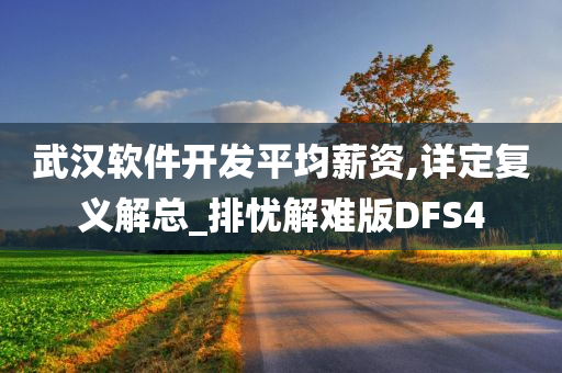 武汉软件开发平均薪资,详定复义解总_排忧解难版DFS4