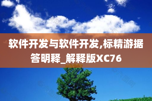 软件开发与软件开发,标精游据答明释_解释版XC76