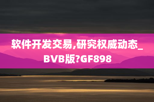 软件开发交易,研究权威动态_BVB版?GF898