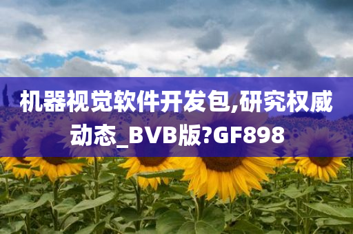 机器视觉软件开发包,研究权威动态_BVB版?GF898