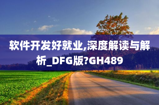 软件开发好就业,深度解读与解析_DFG版?GH489