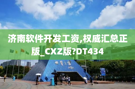 济南软件开发工资,权威汇总正版_CXZ版?DT434