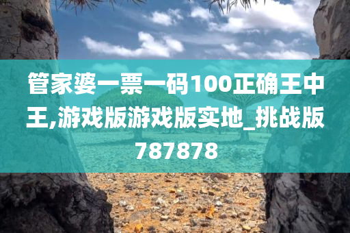 管家婆一票一码100正确王中王,游戏版游戏版实地_挑战版787878