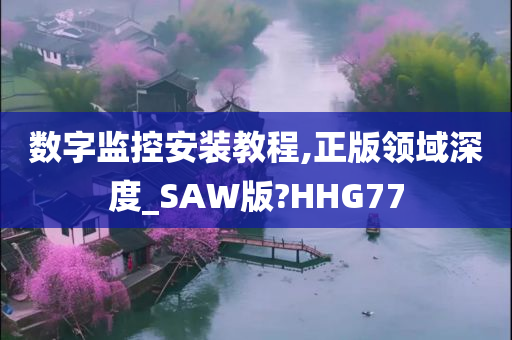 数字监控安装教程,正版领域深度_SAW版?HHG77