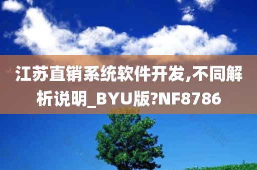 江苏直销系统软件开发,不同解析说明_BYU版?NF8786