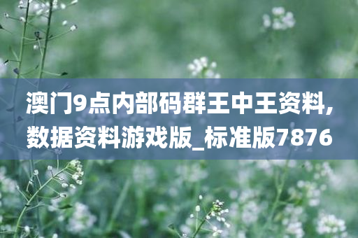 澳门9点内部码群王中王资料,数据资料游戏版_标准版7876