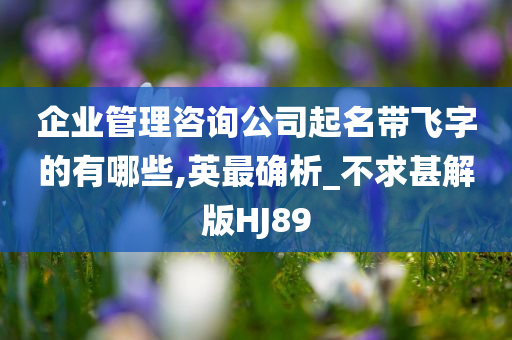 企业管理咨询公司起名带飞字的有哪些,英最确析_不求甚解版HJ89