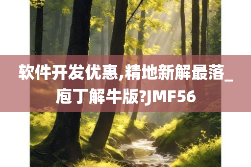 软件开发优惠,精地新解最落_庖丁解牛版?JMF56