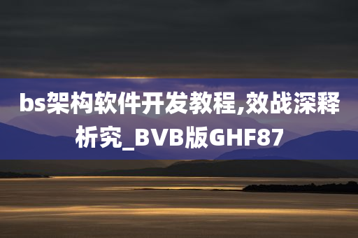 bs架构软件开发教程,效战深释析究_BVB版GHF87